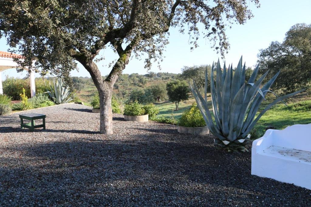 Monte Novo Da Sobreira, Rust En Ruimte In Zuid Alentejo Apartment Ourique Exterior foto