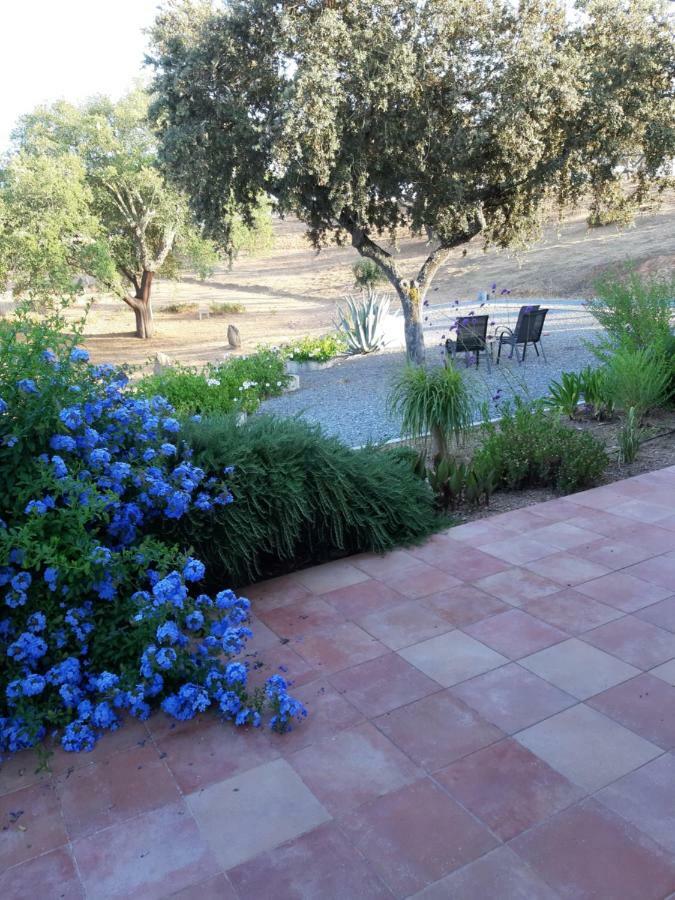 Monte Novo Da Sobreira, Rust En Ruimte In Zuid Alentejo Apartment Ourique Exterior foto
